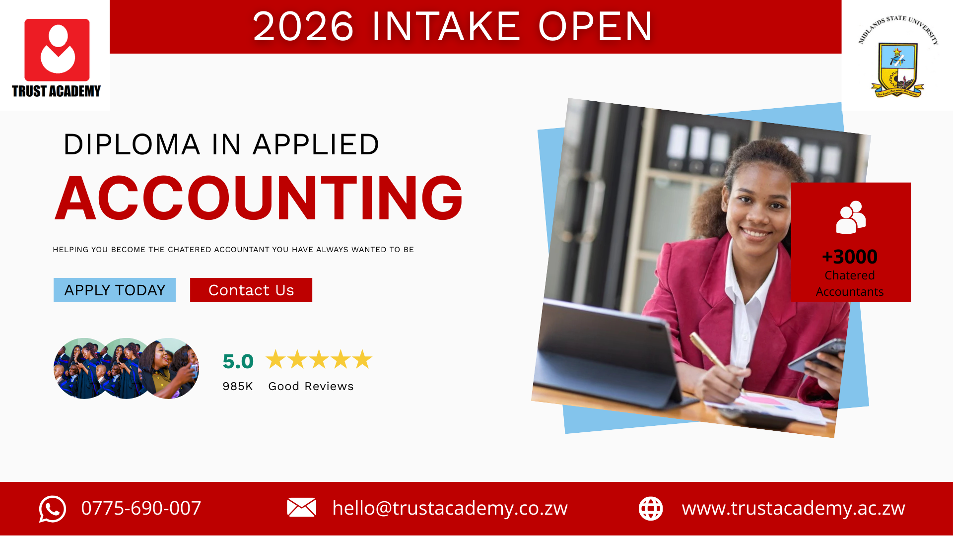 Accounting professional working with financial documents at Trust Academy